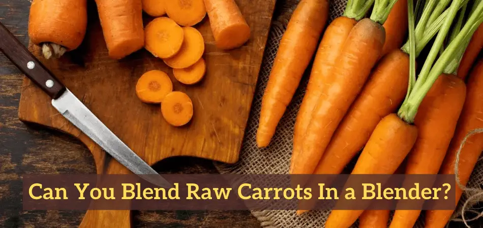 9 Best Blender For Carrot Juices [Top Picks of 2023 Reviewed]