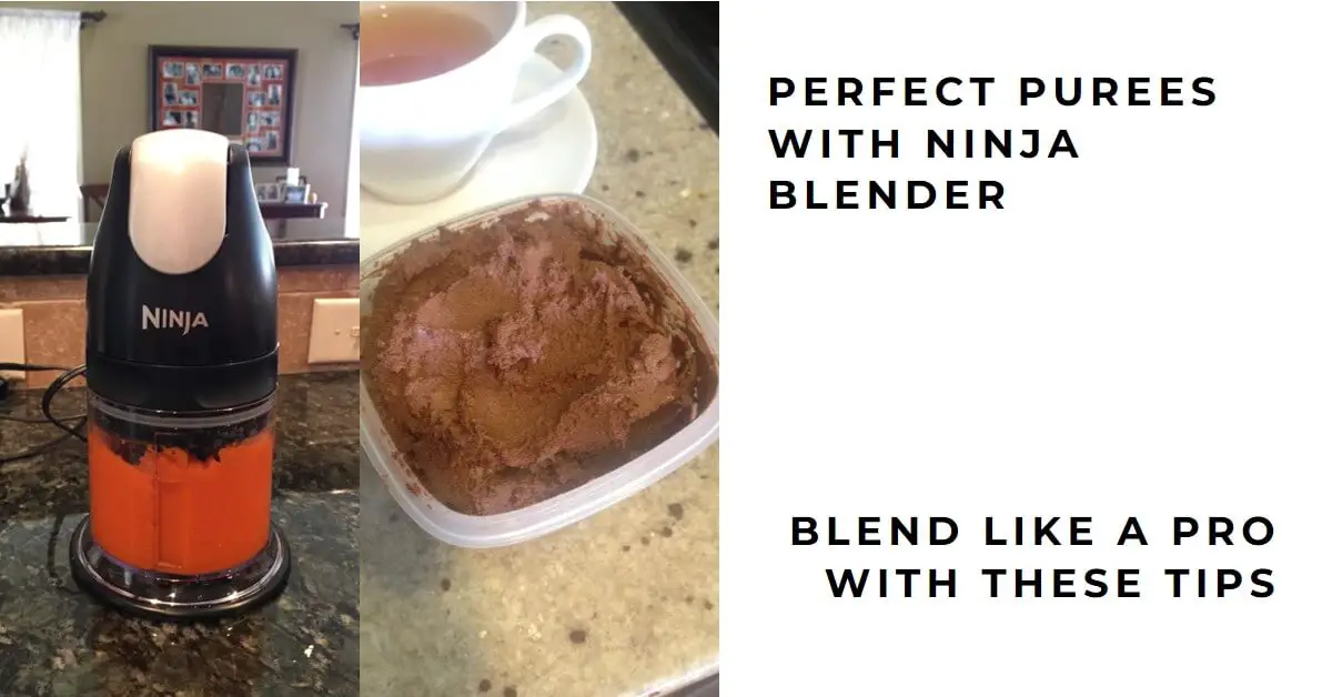 How to Puree with a Ninja Blender? Easy Steps