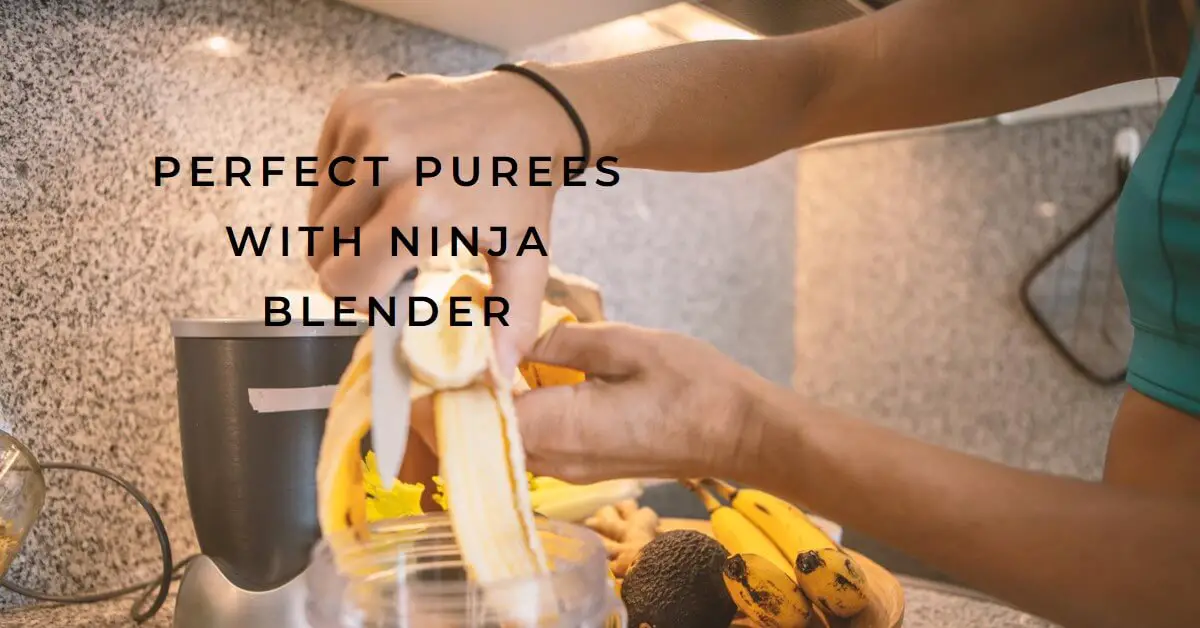 How to Puree with a Ninja Blender? Easy Steps