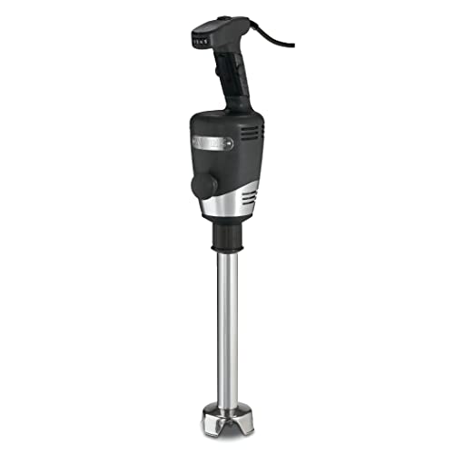 Best Commercial Immersion Blender In 2023
